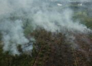 Tiga Hotspot Terdeteksi di Riau, Hujan Berpeluang Turun di Sejumlah Wilayah