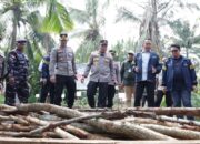 Polda Riau Bongkar Dapur Arang Mangrove di Bengkalis, 140 Ton Arang Diamankan