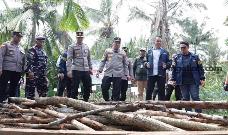Polda Riau Bongkar Dapur Arang Mangrove di Bengkalis, 140 Ton Arang Diamankan