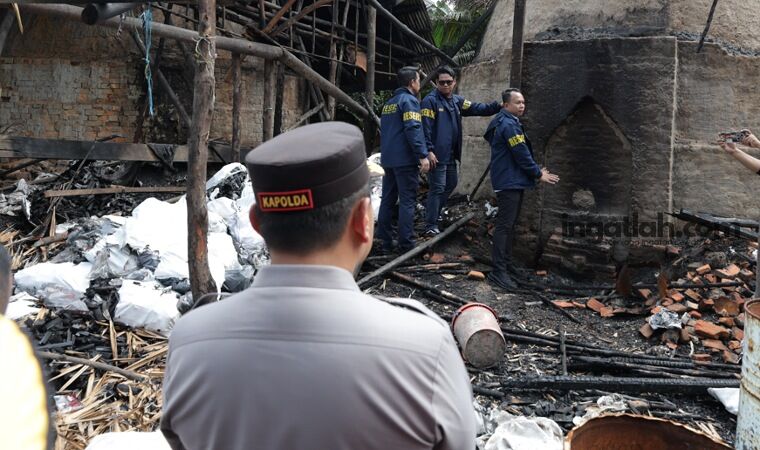 Terungkap! Begini Kronologi Polda Riau Bongkar Dapur Arang Mangrove di Bengkalis