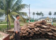 Terbongkar! 10 Ton Kayu Tanpa Dokumen Disita Polisi di Sinaboi Rohil