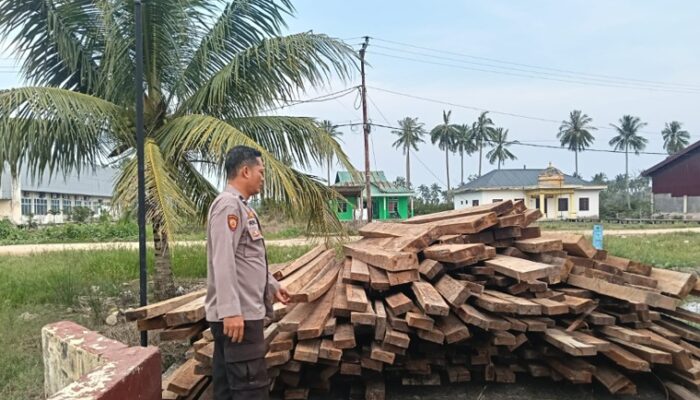 Terbongkar! 10 Ton Kayu Tanpa Dokumen Disita Polisi di Sinaboi Rohil