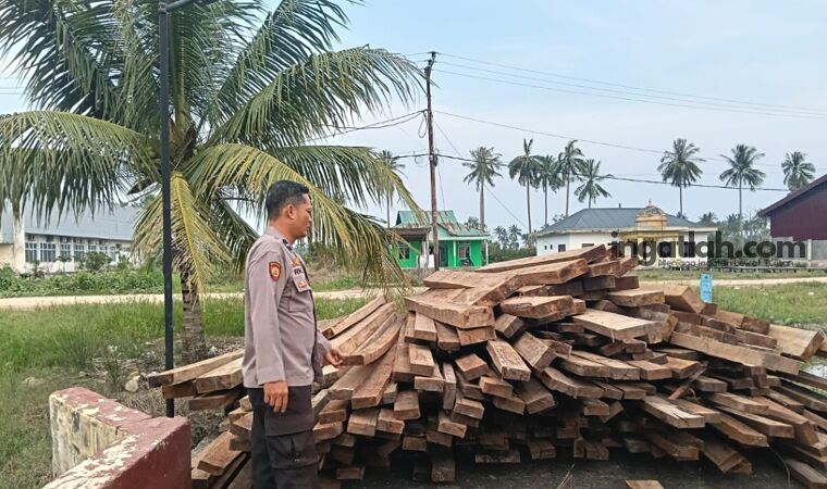 Terbongkar! 10 Ton Kayu Tanpa Dokumen Disita Polisi di Sinaboi Rohil