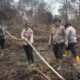 Tidak Ada Karhutla Aktif di Riau, Satgas Tetap Siaga dan Patroli di Wilayah Rawan