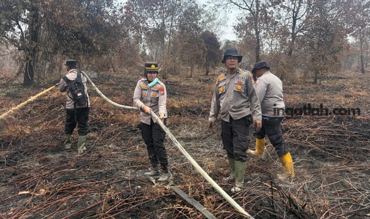 Tidak Ada Karhutla Aktif di Riau, Satgas Tetap Siaga dan Patroli di Wilayah Rawan