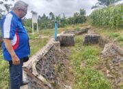 970 H Lahan di Agam Terdampak Pasca Longsor, Petani Beralih dari Padi ke Jagung