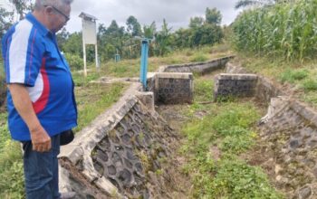 970 H Lahan di Agam Terdampak Pasca Longsor, Petani Beralih dari Padi ke Jagung