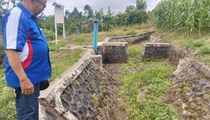 970 H Lahan di Agam Terdampak Pasca Longsor, Petani Beralih dari Padi ke Jagung