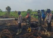 Api Kepung Bengkalis! 6,3 Hektare Lahan Terbakar di 3 Kecamatan