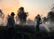 Angin Berubah, Bara Gambut Melawan: 0,75 Hektare Rimbo Panjang Belum Padam