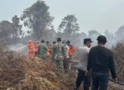 Gambut Terbakar 1,5 Hektare, Polsek Batu Hampar dan Tim Bergerak Cegah Api