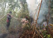 Bertarung Medan dan Keterbatasan, Kapolres Kampar Tak Mundur dari Kobaran Karhutla
