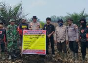 Karhutla di Pinggir Ungkap Kebun Sawit 2,5 Hektare, Polisi Tetapkan J sebagai Tersangka