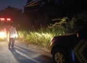 Api Membara di Tengah Kota, Polsek Payung Sekaki dan BPBD Berjibaku Padamkan Kebakaran Lahan