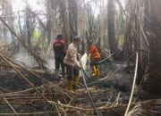 Karhutla Teluk Lancar Bengkalis Masuk Hari ke-5, Bara di Gambut Jadi Ancaman Api Kembali Menyala