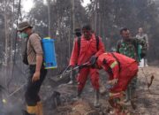 Nekat Tembus Medan Ekstrem, 98 Personel Padamkan 7 Titik Karhutla di Perbatasan Kampar