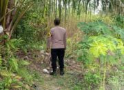 Tak Kenal Lelah, Jajaran Polsek Payung Sekaki Aktif Melakukan Patroli Cegah Karhutla