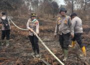 Tak Ada Api Aktif di Riau, Karhutla Berhasil Dikendalikan Satgas Gabungan