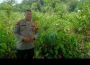 Tak Mau Kecolongan, Polsek Payung Sekaki Gencarkan Patroli Cegah Karhutla