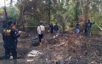 Buronan Kasus Karhutla Ditangkap Polres Siak, Begini Kasusnya