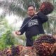 Kembali Naik, Segini Harga TBS Sawit di Riau Pekan Ini
