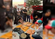 Ganja 73,93 Kg Disita BNNK Pasbar, Jaringan Sumut-Sumbar Diusut