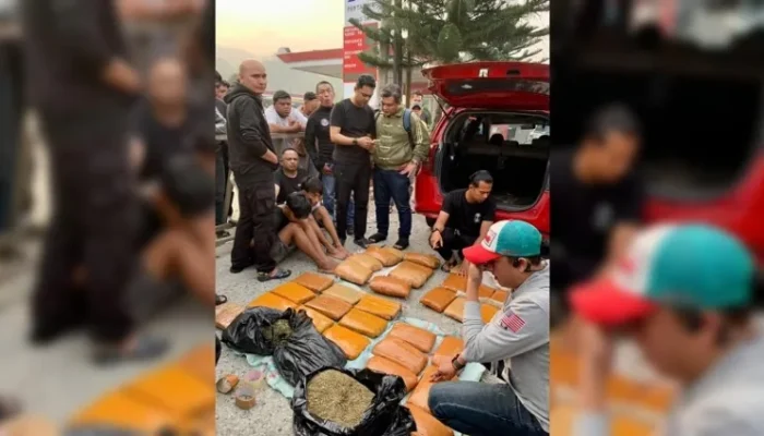 Ganja 73,93 Kg Disita BNNK Pasbar, Jaringan Sumut-Sumbar Diusut