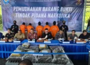 Ganja 73 Kg Dibongkar BNNP Sumbar, Ada Jejak Narapidana dan Dosen