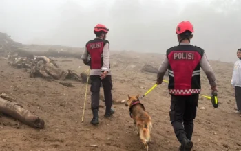 Polda Sumbar Turunkan Anjing Pelacak untuk Cari Korban banjir bandang di Solok, Kamis (24/9). (dok.poldasumbar)