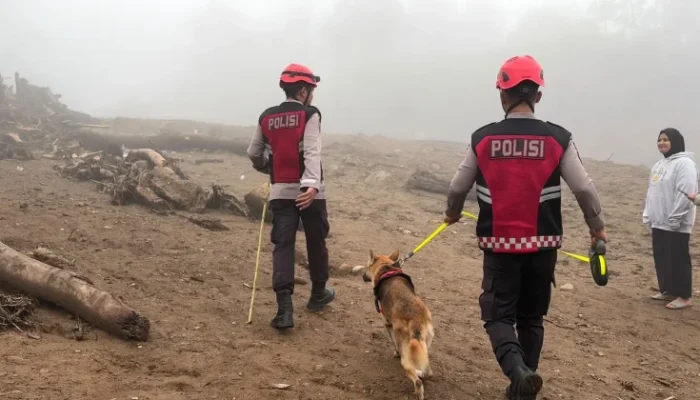 Banjir Bandang Solok, Polda Sumbar Turunkan Anjing Pelacak untuk Cari Korban