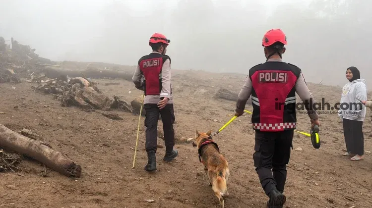 Polda Sumbar Turunkan Anjing Pelacak untuk Cari Korban banjir bandang di Solok, Kamis (24/9). (dok.poldasumbar)