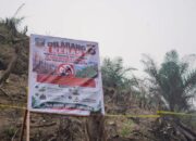 Karhutla di Dharmasraya Ditemukan Ditanami Bibit Sawit, Dishut Sumbar Selidiki