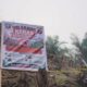 Usai Karhutla, Lahan Hutan di Dharmasraya Ditemukan Ditanami Kelapa Sawit