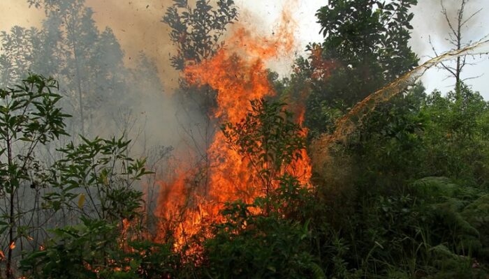 Hari Ini Hotspot Sumatera Tembus 3.663 Titik, Riau Bertambah Jadi Empat