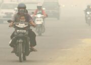 Warga Riau Menjerit Dikepung Kabut Asap Karhutla, Tenggorokan Sakit hingga Aktivitas Terganggu