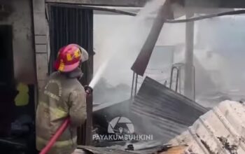 Tangkapan layar video ig @payakumbuhkini