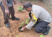 Bukan Sekadar Tanam Pohon, Polsek Batu Hampar Dorong Warga Jadi Penjaga Lingkungan