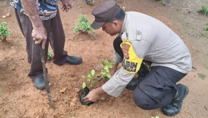 Bukan Sekadar Tanam Pohon, Polsek Batu Hampar Dorong Warga Jadi Penjaga Lingkungan