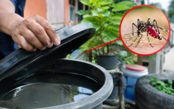 745 Kasus DBD Terjadi di Pekanbaru, Warga Diminta Gencarkan 3M Plus