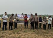 Tanam Jagung di Lahan 2 Hektare, Polsek Tambang Gandeng Kelompok Tani Perkuat Ketahanan Pangan