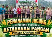 Perkuat Ketahanan Pangan, Polsek Kampar Kiri Gandeng Kelompok Tani Tanam Jagung Pioneer