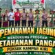 Perkuat Ketahanan Pangan, Polsek Kampar Kiri Gandeng Kelompok Tani Tanam Jagung Pioneer