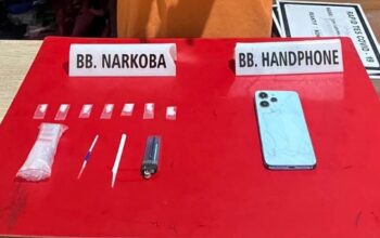 Jejak Digital Pembongkar Pengedar Sabu Kampar: Pelaku Terciduk di Kebun Sawit