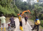 Longsor di Jalur Sumbar-Jambi, 4 Titik Selesai Dibersihkan